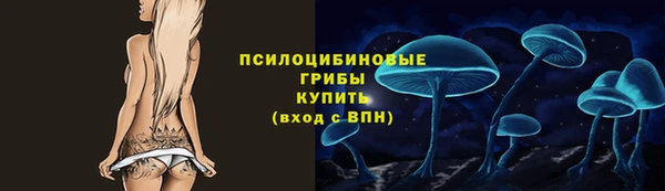 амф Алзамай