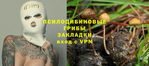 амф Алзамай