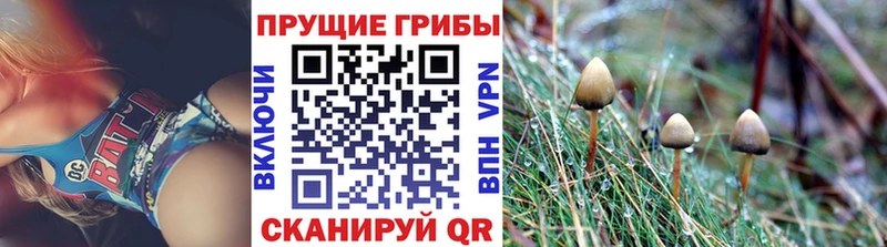 Галлюциногенные грибы ЛСД  Черноголовка 